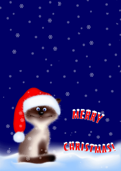 Carte Petit Chat De Noël Merry Christmas : Envoyer une 